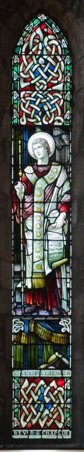에페수스의 성 티모테오_photo by Andreas F. Borchert_in the Cathedral of St Brigid in Kildare_Ireland.jpg